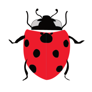 http://art-to-act.org/wp-content/uploads/2021/08/coccinnelle-300x300.png