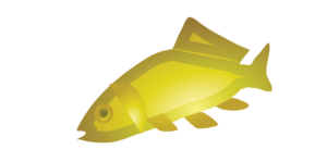 http://art-to-act.org/wp-content/uploads/2021/08/common-carp-300x300.png
