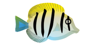 http://art-to-act.org/wp-content/uploads/2021/08/convict-surgeonfish-1-300x300.png