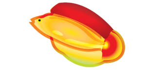 http://art-to-act.org/wp-content/uploads/2021/08/flame-wrasse-300x300.png