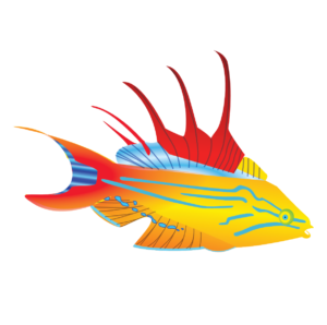http://art-to-act.org/wp-content/uploads/2021/08/flasher-wrasse-300x300.png