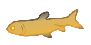 http://art-to-act.org/wp-content/uploads/2021/08/grass-carp-300x300.png