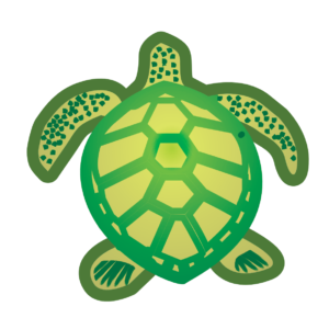 http://art-to-act.org/wp-content/uploads/2021/08/green-turtle-300x300.png