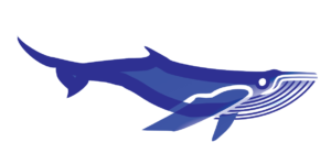 http://art-to-act.org/wp-content/uploads/2021/08/humpback-whale-300x300.png