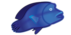 http://art-to-act.org/wp-content/uploads/2021/08/humphead-wrasse-1-300x300.png