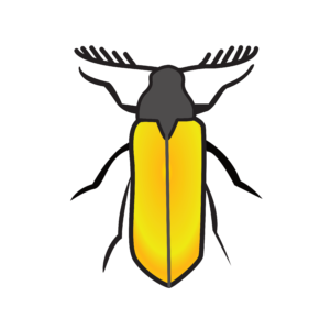 http://art-to-act.org/wp-content/uploads/2021/08/male-bruchid-Beetle-300x300.png