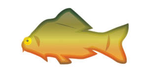 http://art-to-act.org/wp-content/uploads/2021/08/mirror-carp-300x300.png