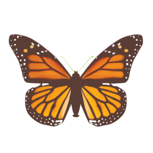 http://art-to-act.org/wp-content/uploads/2021/08/monarch-300x300.png