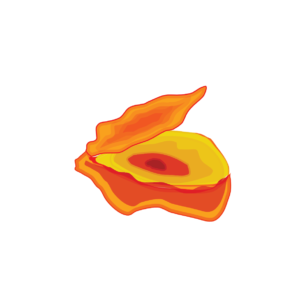 http://art-to-act.org/wp-content/uploads/2021/08/oyster-300x300.png