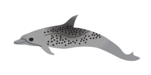 http://art-to-act.org/wp-content/uploads/2021/08/pantropical-spotted-Dolphin-300x300.png