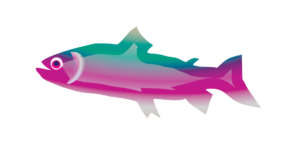 http://art-to-act.org/wp-content/uploads/2021/08/rainbow-trout-300x300.png