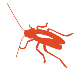 http://art-to-act.org/wp-content/uploads/2021/08/roach-300x300.png