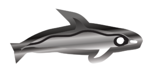 http://art-to-act.org/wp-content/uploads/2021/08/rough-toothed-dolphin-300x300.png