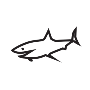 http://art-to-act.org/wp-content/uploads/2021/08/shark-300x300.png