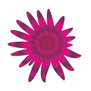http://art-to-act.org/wp-content/uploads/2021/08/sunflower-seastar-300x300.png