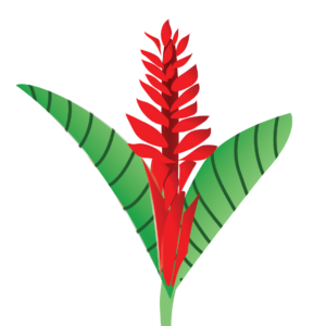 http://art-to-act.org/wp-content/uploads/2021/09/Alpinia-300x300.png