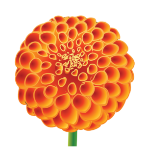 http://art-to-act.org/wp-content/uploads/2021/09/Dahlia-1-300x300.png