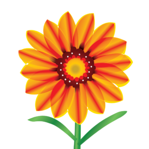 http://art-to-act.org/wp-content/uploads/2021/09/Gazania-rigens-1-300x300.png