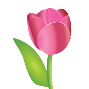 http://art-to-act.org/wp-content/uploads/2021/09/Tulip-300x300.png