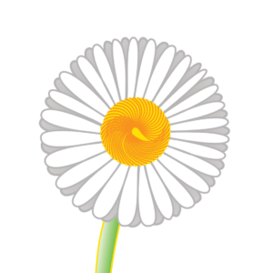 http://art-to-act.org/wp-content/uploads/2021/09/WHITE-DAISY-300x300.png