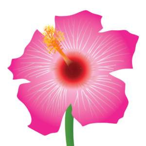 http://art-to-act.org/wp-content/uploads/2021/09/chinese-rose-300x300.png