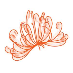 http://art-to-act.org/wp-content/uploads/2021/09/crinoide-300x300.png