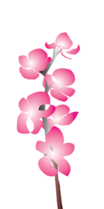 http://art-to-act.org/wp-content/uploads/2021/09/orchid-300x300.png