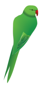 http://art-to-act.org/wp-content/uploads/2021/10/Budgie-300x300.png