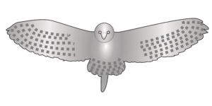 http://art-to-act.org/wp-content/uploads/2021/10/Owl-300x300.png