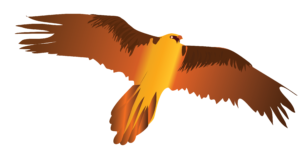 http://art-to-act.org/wp-content/uploads/2021/10/bearded-vulture-300x300.png