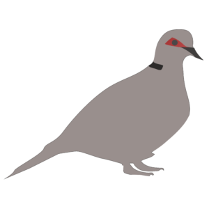 http://art-to-act.org/wp-content/uploads/2021/10/turtledove-300x300.png