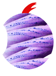 http://art-to-act.org/wp-content/uploads/2023/02/59E89FCC-C88F-4183-96B1-4693705C9B45-300x300.png