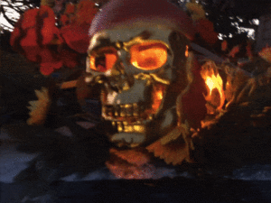 http://art-to-act.org/wp-content/uploads/2023/02/7145FE32-B544-43E2-A58B-C6D8B861CA13-300x300.gif