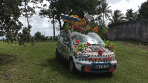 http://art-to-act.org/wp-content/uploads/2023/02/D379B0A4-BFBB-4910-BAD7-BDB1CF258AA7-300x300.gif