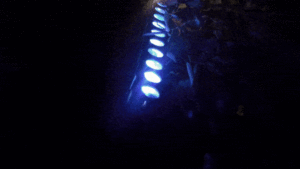 http://art-to-act.org/wp-content/uploads/2023/02/DE524CAE-9FEA-475B-99B1-F31DB265E8C6-300x300.gif