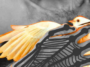 http://art-to-act.org/wp-content/uploads/2023/03/CEB75B88-9EBD-407A-A2CE-00CAECCA4C8B-300x300.gif